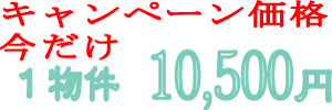 Ly[iIPɂ10500~ł񋟁I